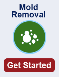 mold remediation in Irving TN